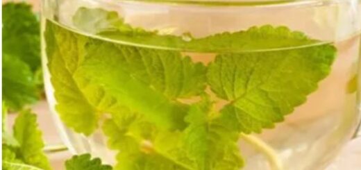 Huile de Coco et Bienfaits