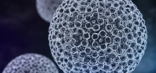 Les papillomavirus Solution Naturelle