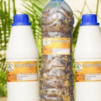 Tisane 286: Traitement Naturel Varicocèle Grade 0, Durée Traitement