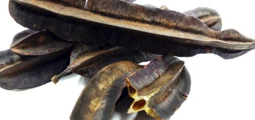 Infections à streptocoques Recettes Naturelles