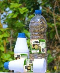 Causes et traitement naturel des infections urinaires