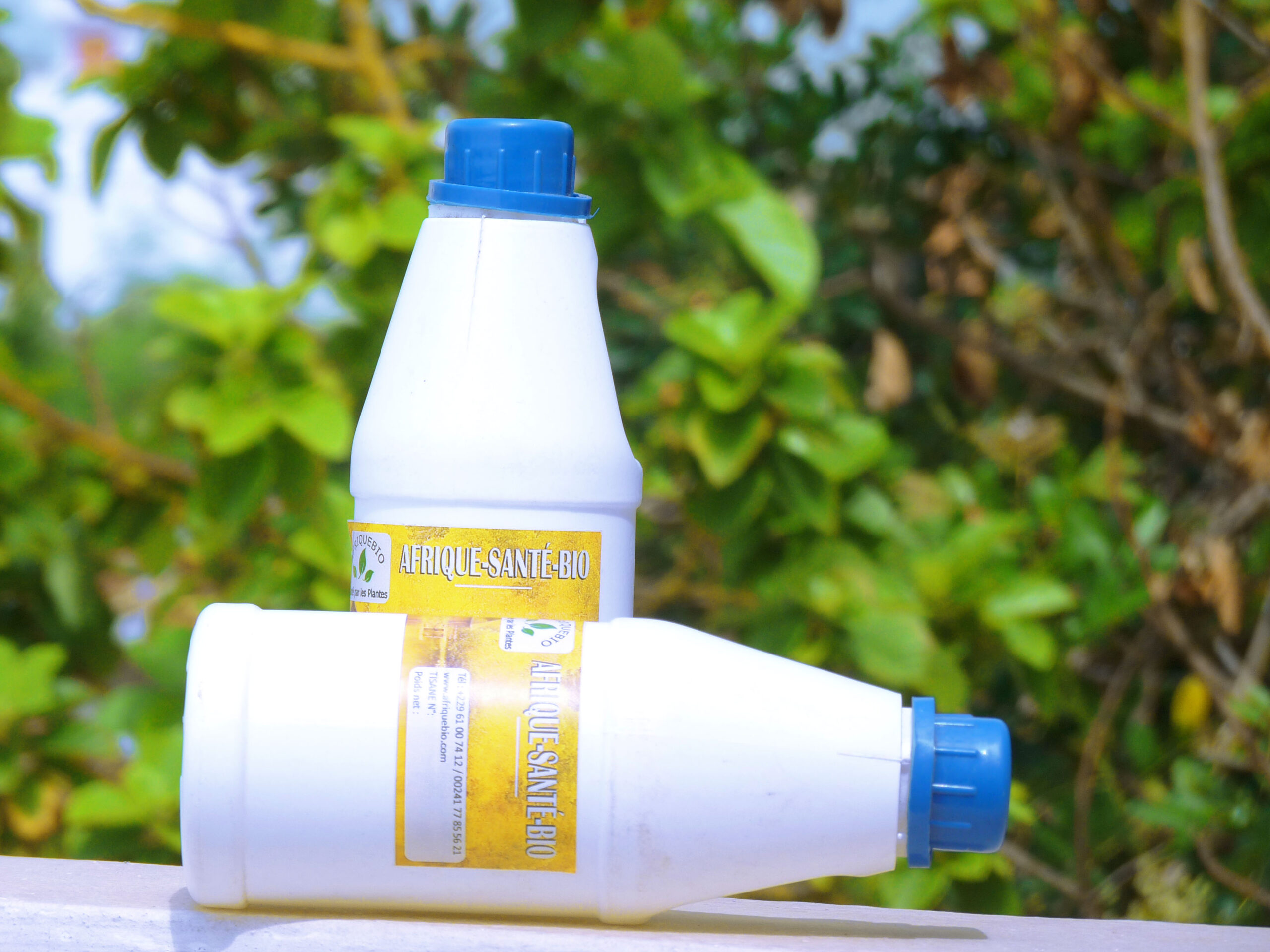 Prévention cancer colorectal