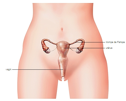 La solution douce et naturelle au Phimosis Tubaire Bilatéral